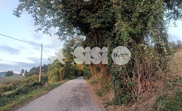 Lavori sulle strade, degrado, uso della fascia tricolore e foto sulla pagina istituzionale: Forza Italia attacca su tutto