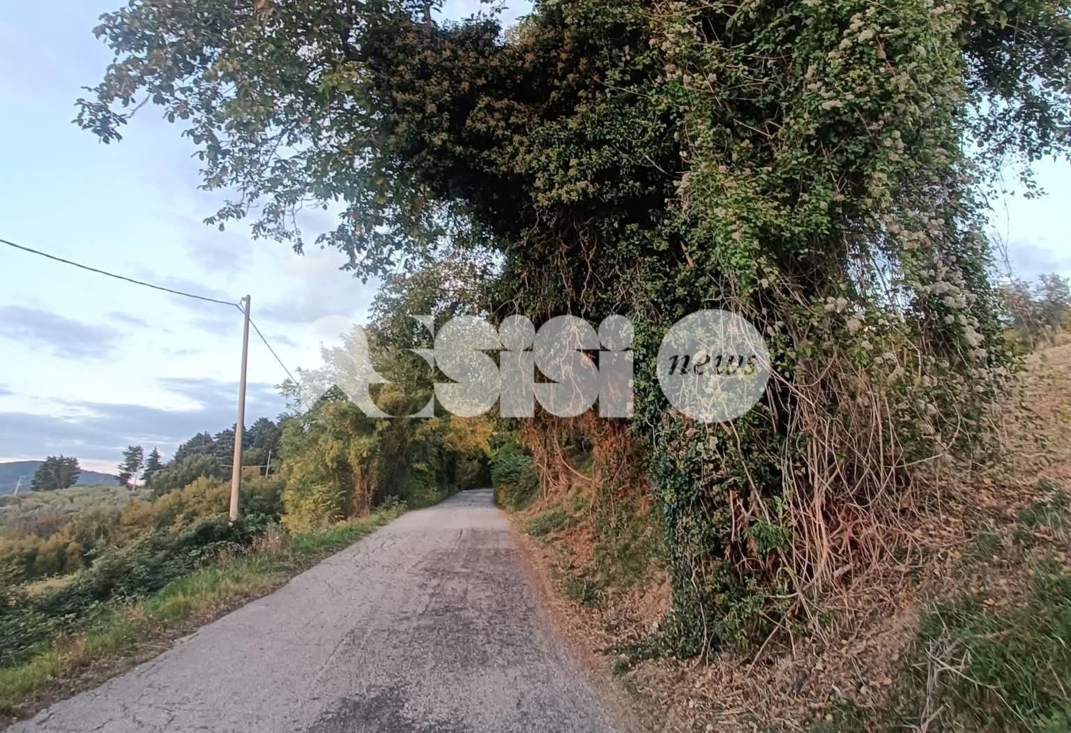 Lavori sulle strade, degrado, uso della fascia tricolore e foto sulla pagina istituzionale: Forza Italia attacca su tutto