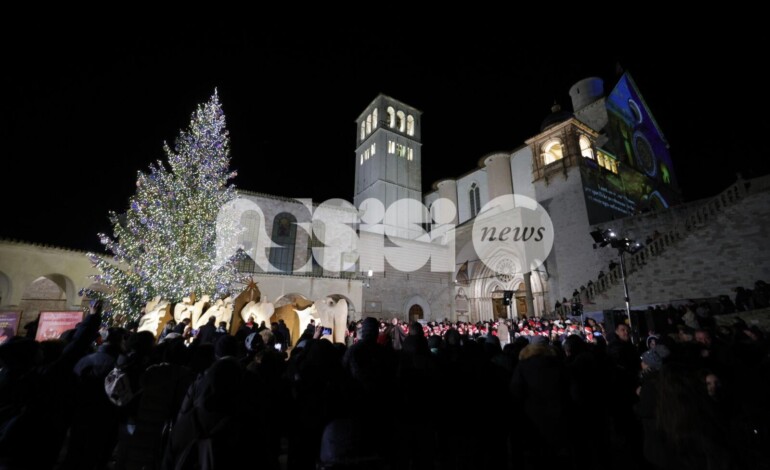Assisi, l’otto dicembre partono i festeggiamenti del Natale 2025 a San Francesco: il programma (foto)