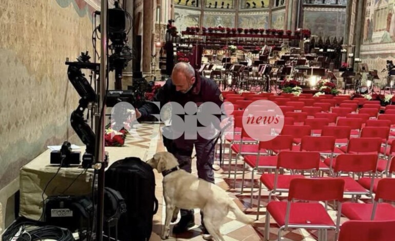 Sicurezza e intesa: il lavoro dell’unità cinofila della Polizia di Stato per il Concerto di Natale ad Assisi (foto)
