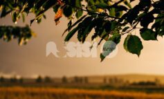 Meteo Assisi 23-25 gennaio 2026: weekend di sole e pioggia