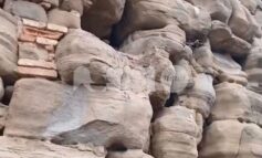 Mura urbiche di Bettona degradate, il Comune chiede attenzione