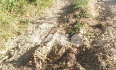 A Capodacqua e Rivotorto "strade con buche e degrado": la denuncia di Forza Italia Assisi