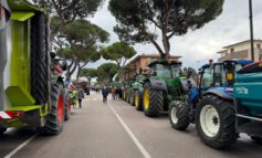 Assisi, grande successo per la Festa degli Agricoltori 2026: il ricavato andrà all’ospedale pediatrico Meyer (foto)