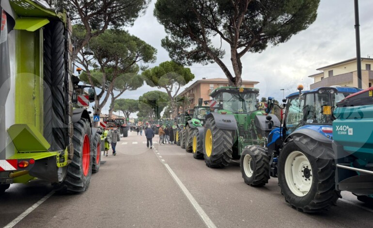 Assisi, grande successo per la Festa degli Agricoltori 2026: il ricavato andrà all’ospedale pediatrico Meyer (foto)