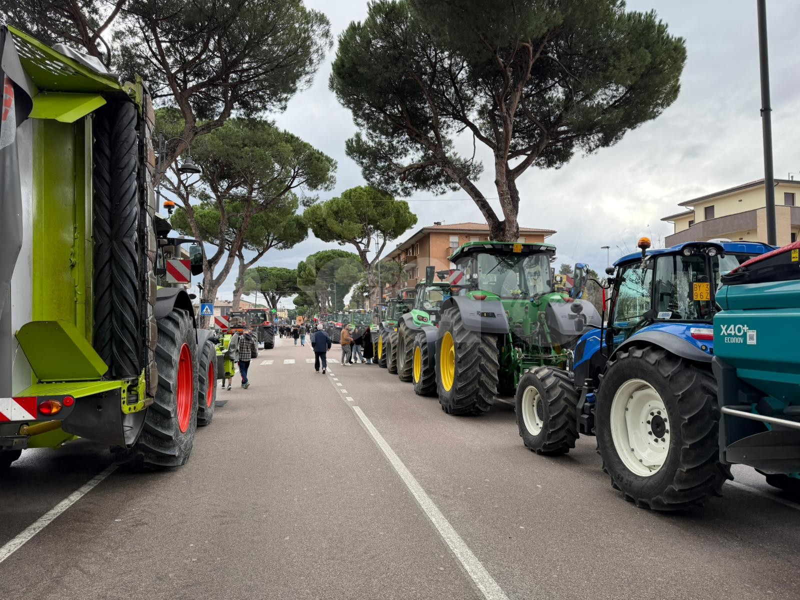 Assisi, grande successo per la Festa degli Agricoltori 2026: il ricavato andrà all’ospedale pediatrico Meyer (foto)