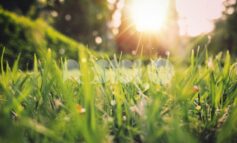 Meteo Assisi 20-22 febbraio 2026: clima primaverile e sprazzi di sole