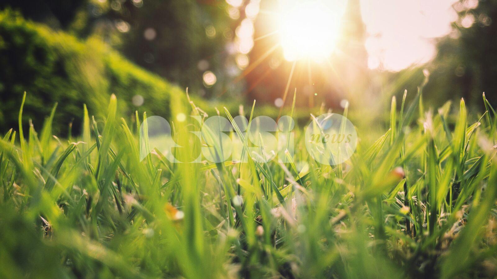 Meteo Assisi 20-22 febbraio 2026: clima primaverile e sprazzi di sole