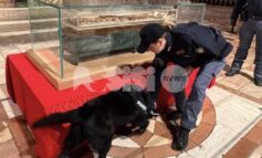 Sugar, una vita in divisa: ultimo servizio ad Assisi per il labrador della Polizia di Stato (foto)