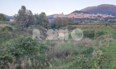 Il percorso verde di Assisi abbandonato: i cittadini si mobilitano con una petizione