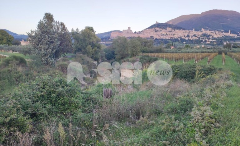 Il percorso verde di Assisi abbandonato: i cittadini si mobilitano con una petizione