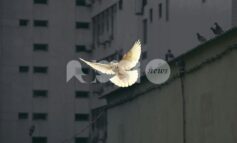 "No alle guerre, no alla follia umana: se c'è un popolo della pace scenda in piazza subito"