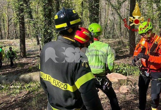 Operaio dell’Afor si infortuna nei boschi di Spello: soccorso dai vigili del fuoco assisani
