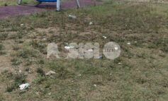 Traffico, giardini pubblici a Santa Maria e lavori stradali: Forza Italia chiede chiarimenti e correttivi