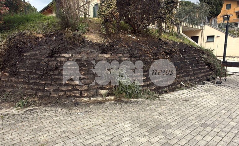 Palazzo di Assisi, ancora vandalismi al CVA Renato Sensi: area pubblica danneggiata e incendiata (foto)