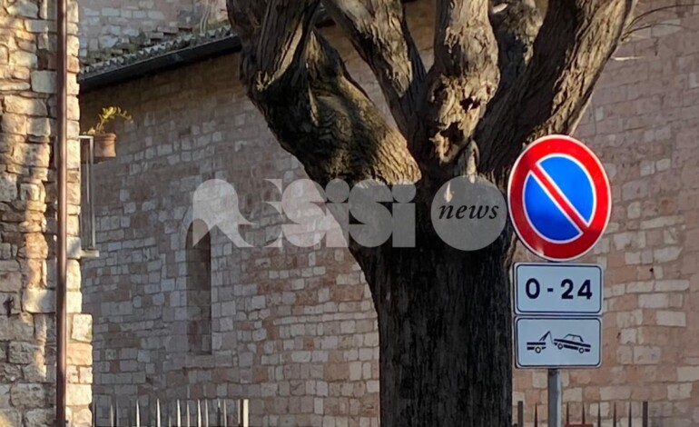Al Vescovado spunta un divieto di sosta “permanente”: ansia dei residenti per le possibili ulteriori restrizioni