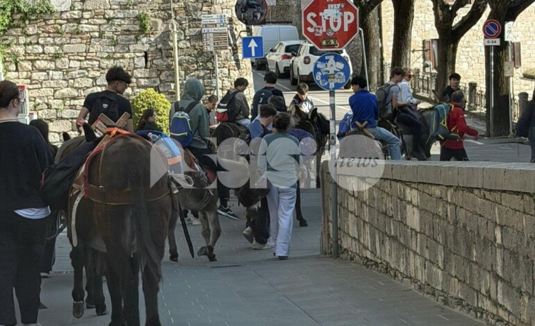 Da Verona ad Assisi: giovani pellegrini alla scoperta della città di San Francesco… in compagnia degli asini (foto)