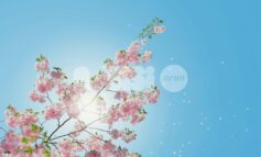 Meteo Assisi 3-6 aprile 2026: sole protagonista e clima piacevole tra Pasqua e Pasquetta