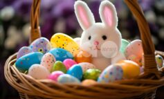 Niente programmi cartacei pasquali, botta e risposta Forza Italia - giunta