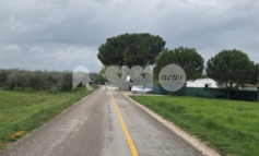 ViabilitĂ modificata in via Ospedale delle Pareti e via dell'Isola Romana, lista Cicogna: "La giunta ci ripensi"