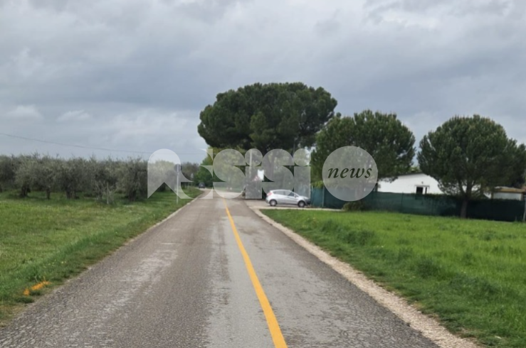 Viabilità modificata in via Ospedale delle Pareti e via dell'Isola Romana, lista Cicogna: "La giunta ci ripensi"