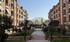 I Portali, una realtà da tutelare e non da abbandonare: ora serve intervenire