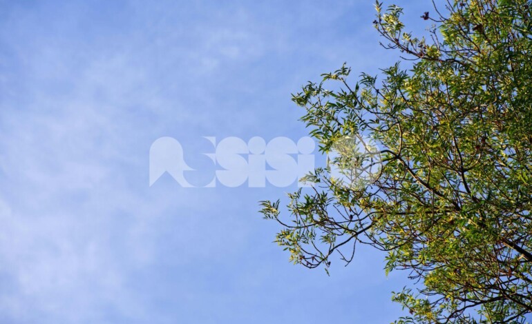 Meteo Assisi 1-3 maggio 2026: sole e cieli sereni, nuvole da domenica pomeriggio