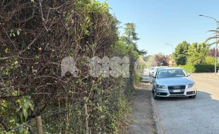 Quartiere Peep a Santa Maria degli Angeli, “criticità segnalate e risolte: grazie alla giunta per l’intervento”