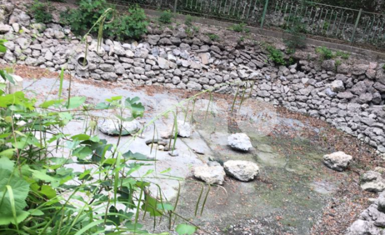 Nuova vita per il laghetto del Pincio: presentato il progetto di restyling, i dettagli