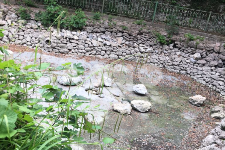 Nuova vita per il laghetto del Pincio: presentato il progetto di restyling, i dettagli