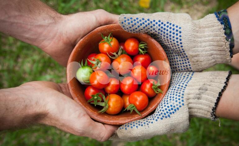 Tutela dei prodotti agricoli e alimentari del territorio, si muove anche la giunta di Assisi