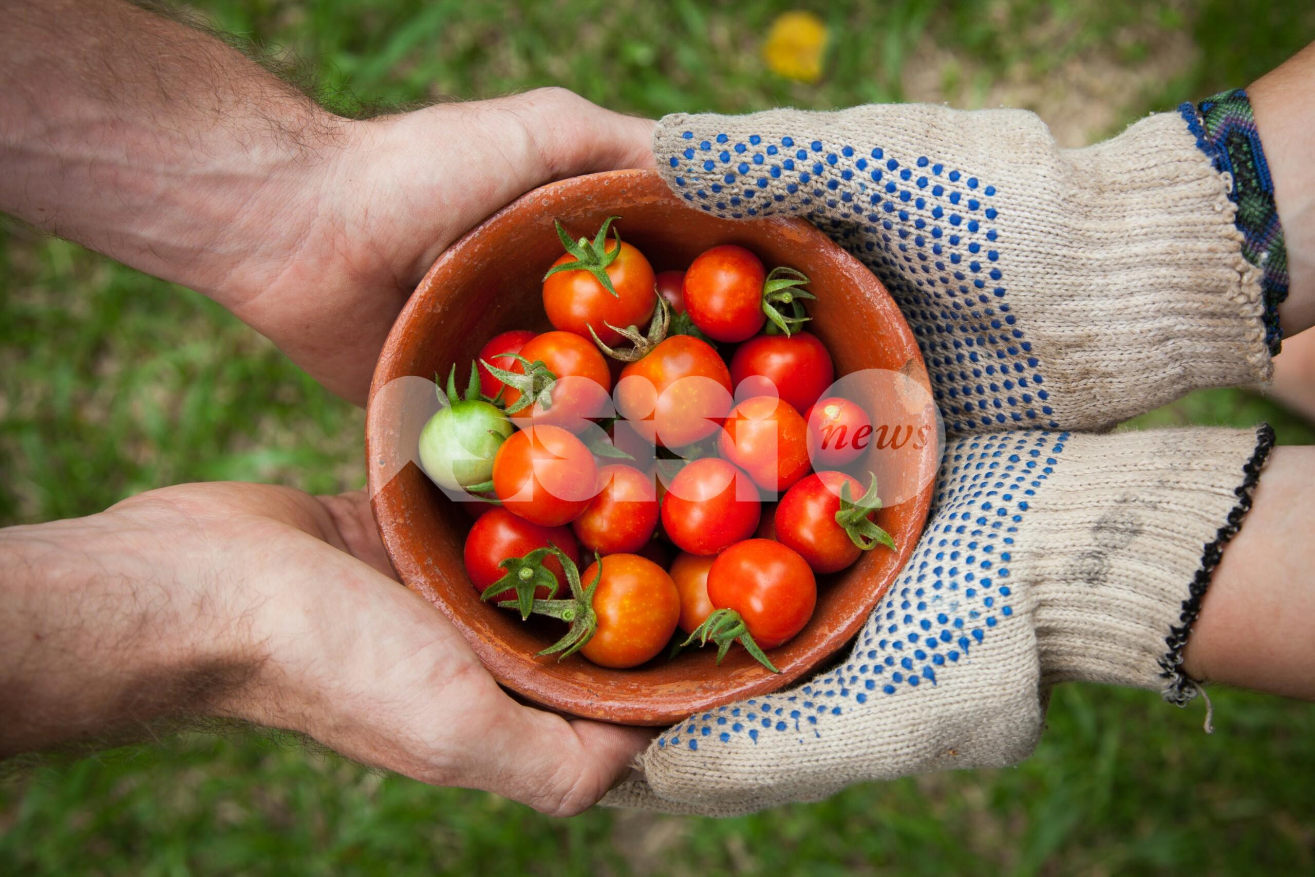 Tutela dei prodotti agricoli e alimentari del territorio, si muove anche la giunta di Assisi