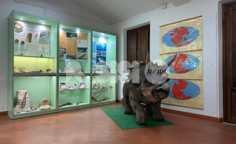 Nell’estate assisana c’è anche la mostra permanente di geo-paleontologia, riaperta dopo i lavori di restauro