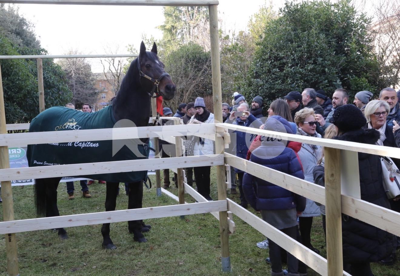 Addio a Varenne, il Capitano protagonista nel 2017 a Santa Maria degli Angeli (foto)