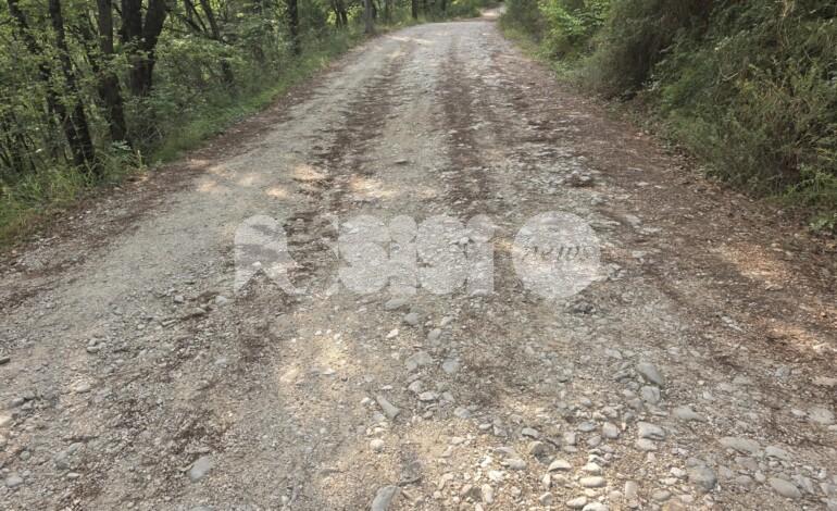 Mora-Beviglie, strada al limite della percorribilità, Forza Italia Assisi: “Servono interventi urgenti”