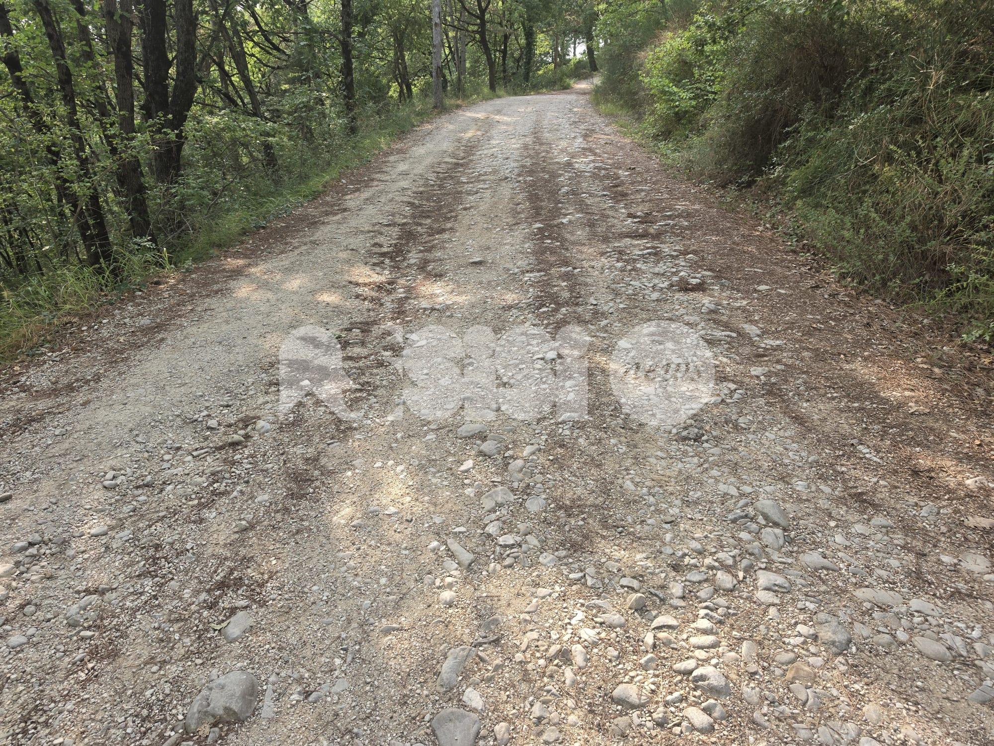 Mora-Beviglie, strada al limite della percorribilità, Forza Italia Assisi: "Servono interventi urgenti"