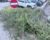 Degrado e incuria al parcheggio dell'ospedale di Assisi: cittadini chiedono interventi urgenti (foto)