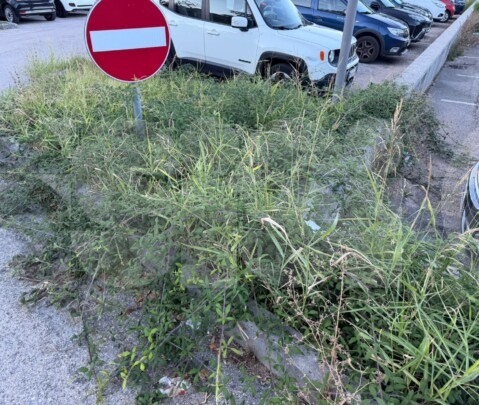 Degrado e incuria al parcheggio dell'ospedale di Assisi: cittadini chiedono interventi urgenti (foto)