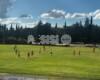 Calcio Umbria, i verdetti del fine settimana dei campionati dilettantistici