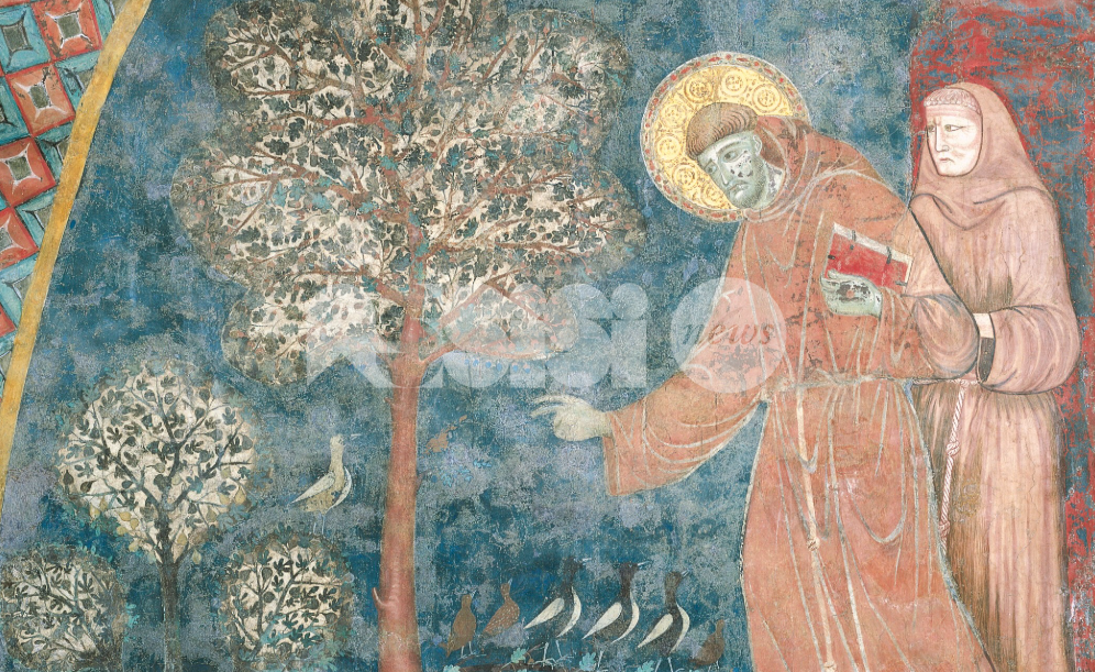 Creature umbre: a Palazzo Donini otto secoli di storia umbra attraverso le celebrazioni francescane