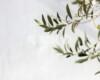 Meteo Assisi 23-25 ottobre 2026: weekend double face ma ancora clima mite