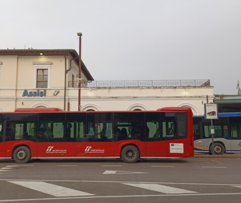 I servizi Link per l'ottavo centenario francescano saranno attivi fino al 31 dicembre 2026