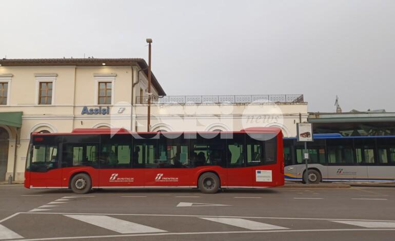 I servizi Link per l’ottavo centenario francescano saranno attivi fino al 31 dicembre 2026