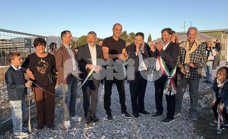 Agrivoltaico e mirtilli: alla Tenuta Servettini agricoltura ed energia convivono (foto+video)