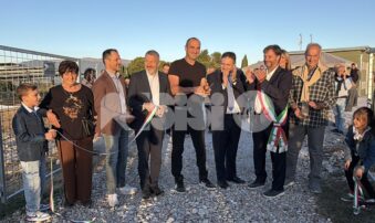 Agrivoltaico e mirtilli: alla Tenuta Servettini agricoltura ed energia convivono (foto+video)