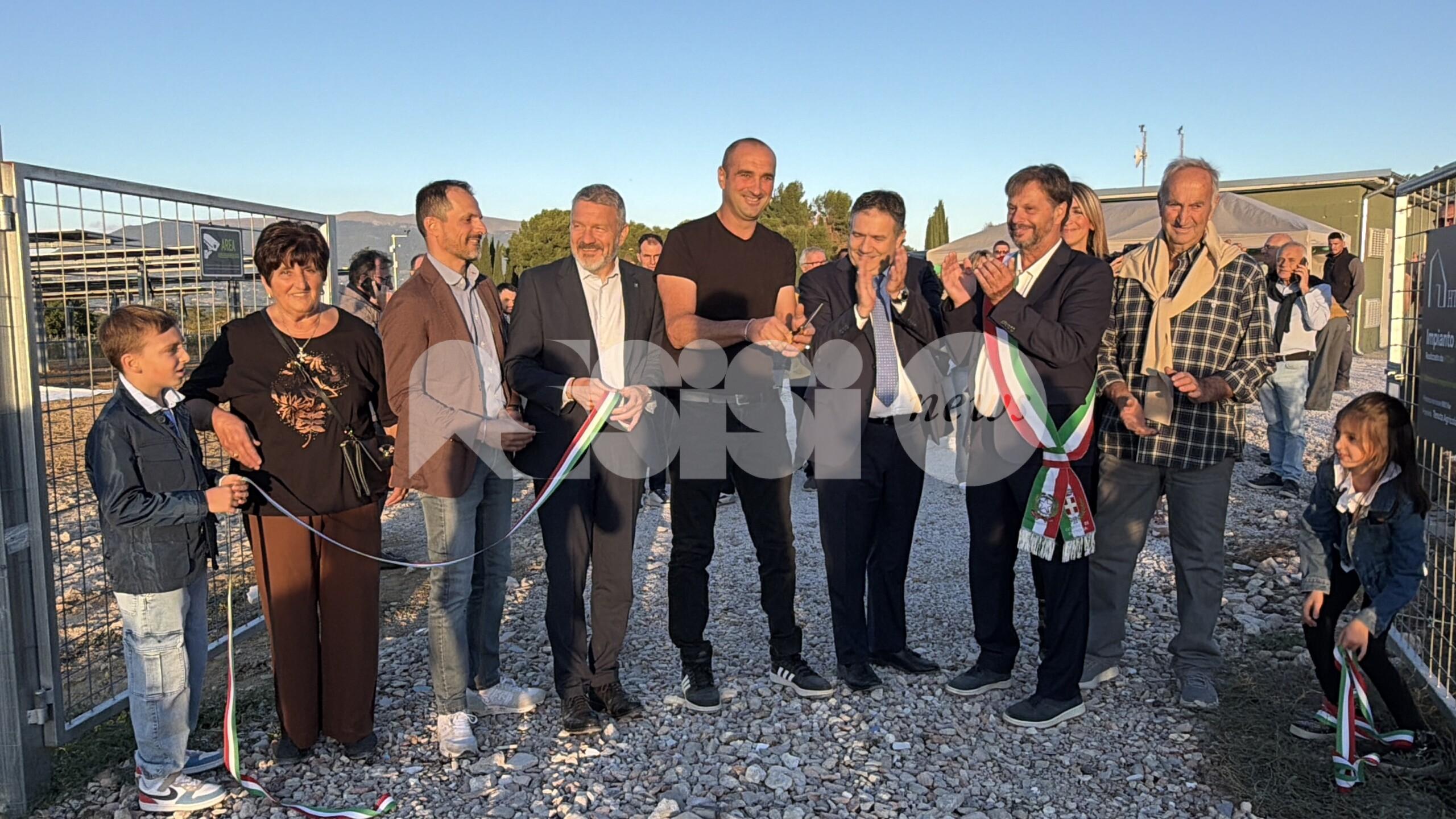Agrivoltaico e mirtilli: alla Tenuta Servettini agricoltura ed energia convivono (foto+video)