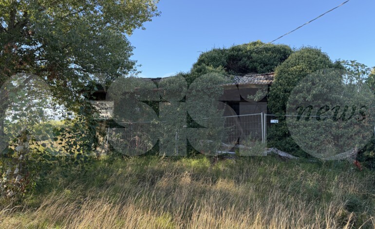 Degrado e alberi a rischio: la segnalazione di alcuni residenti di via San Francescuccio de’ Mietitori (foto)