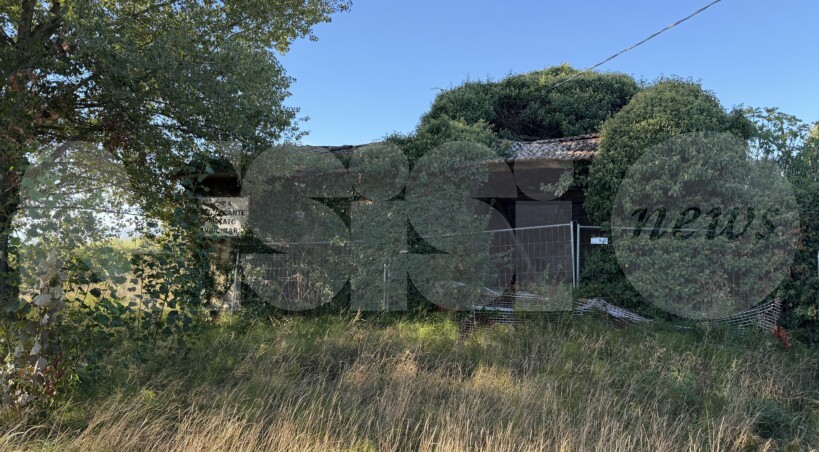 Degrado e alberi a rischio: la segnalazione di alcuni residenti di via San Francescuccio de' Mietitori (foto)