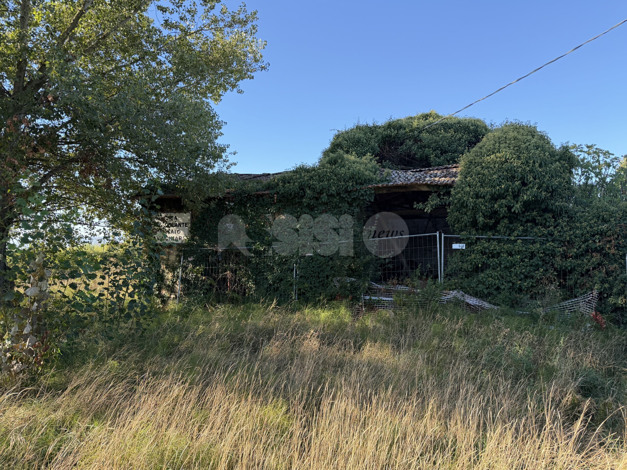 Degrado e alberi a rischio: la segnalazione di alcuni residenti di via San Francescuccio de' Mietitori (foto)