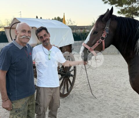 Sulle orme di San Francesco: Antonino Buttitta da Bagheria a Verona con il carretto e il cavallo (foto+video)